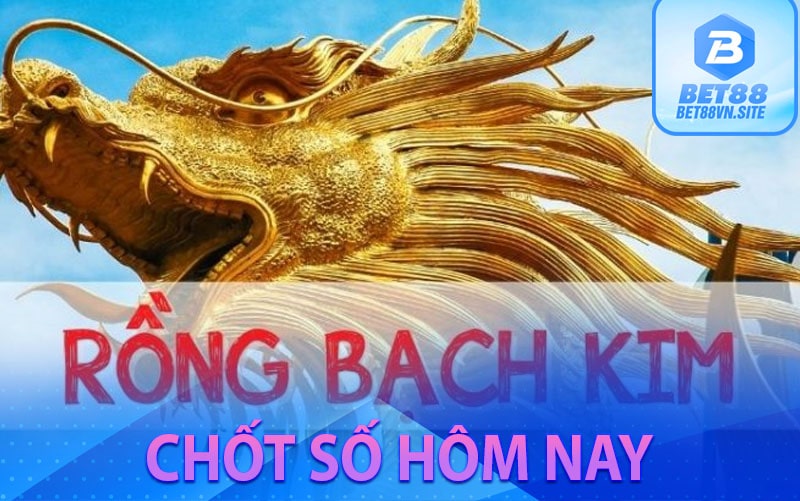 Rồng bạch  kim chốt số là gì?