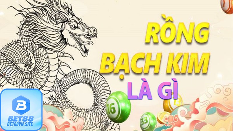 Tìm hiểu về rồng bạch kim