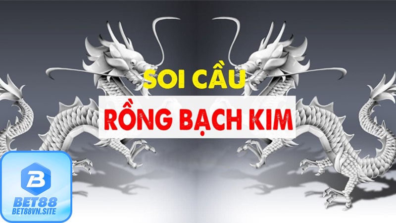 Những cách soi cầu rồng bạch kim