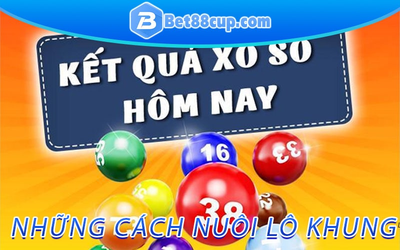 Những cách nuôi lô khung