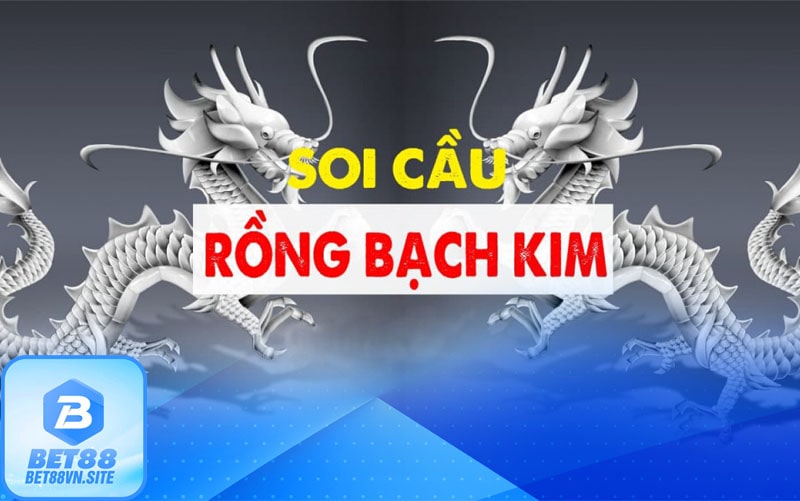 Soi cầu rồng bạch kim