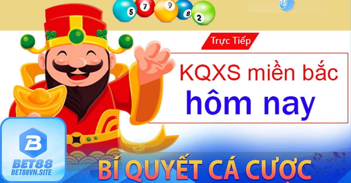 Bí quyết cá cược 