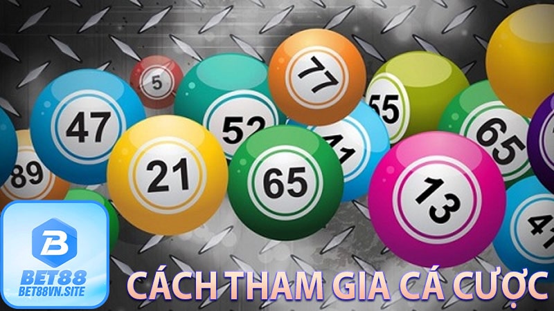 Cách tham gia cá cược