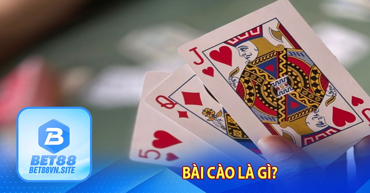 Bài cào là gì?