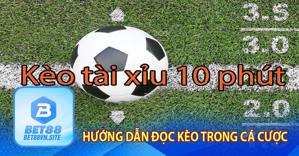 Hướng dẫn đọc kèo trong cá cược